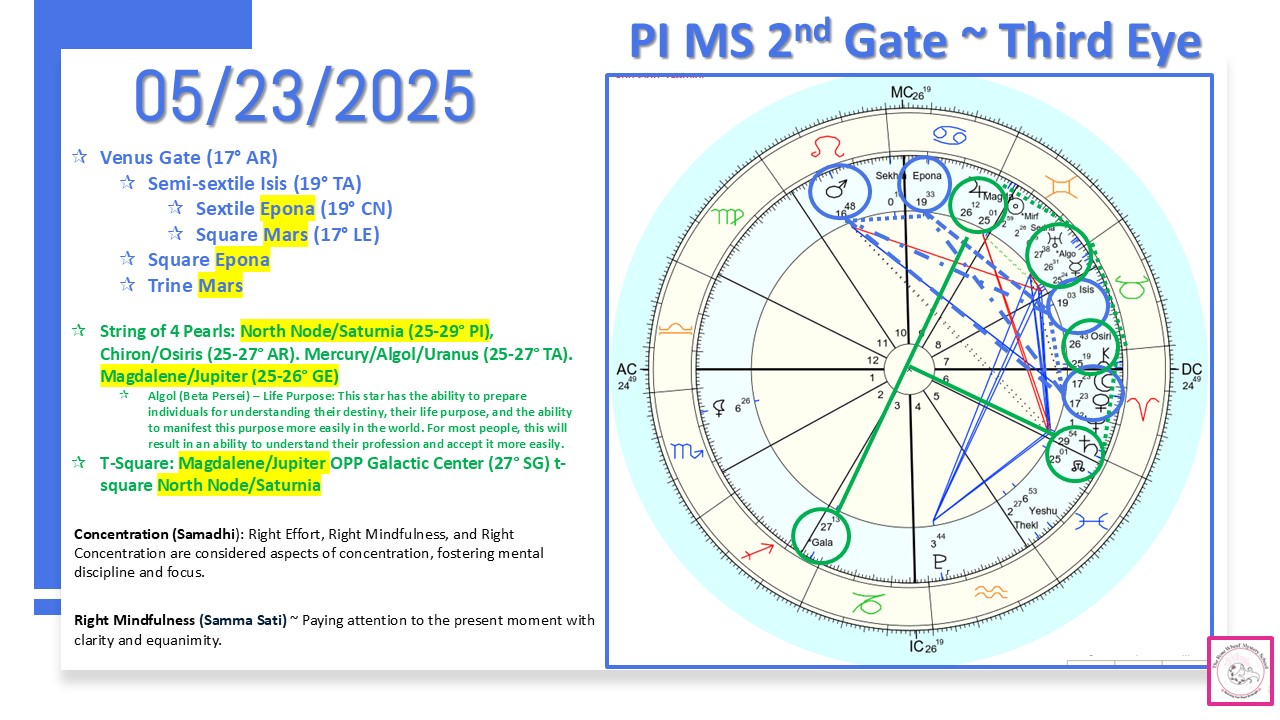 PI MS 2nd Gate Activations – The Golden Ray Center, Inc.